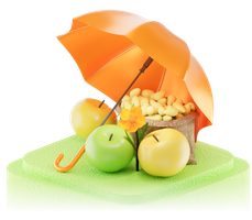 Страхование